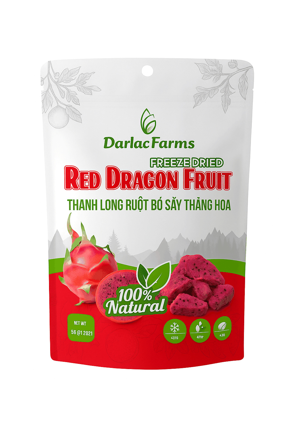 Freeze Dried Dragon Fruit