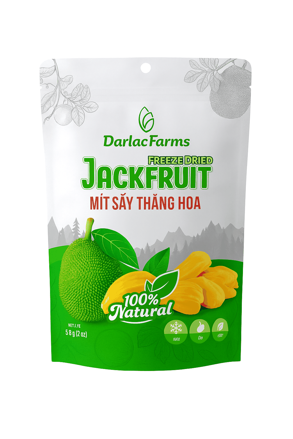 Freeze-dried jackfruit