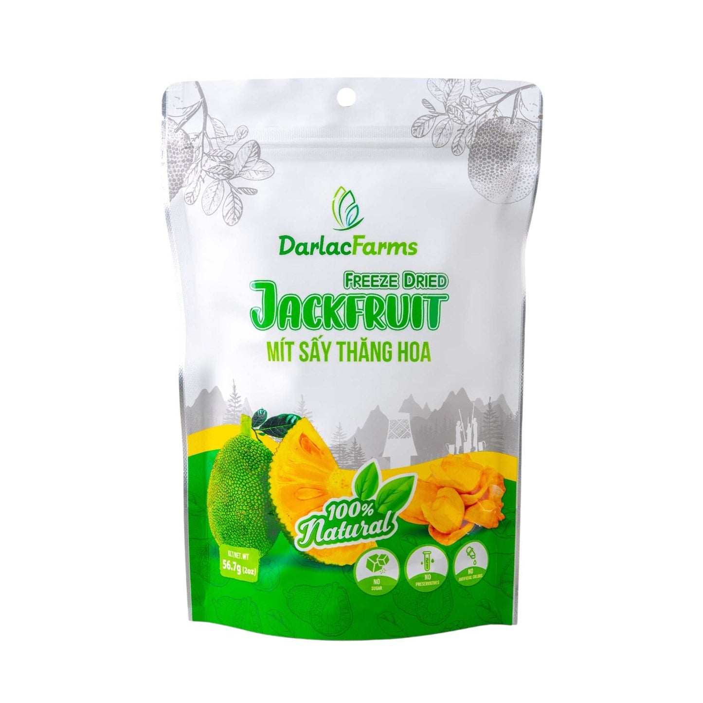 Freeze-dried jackfruit