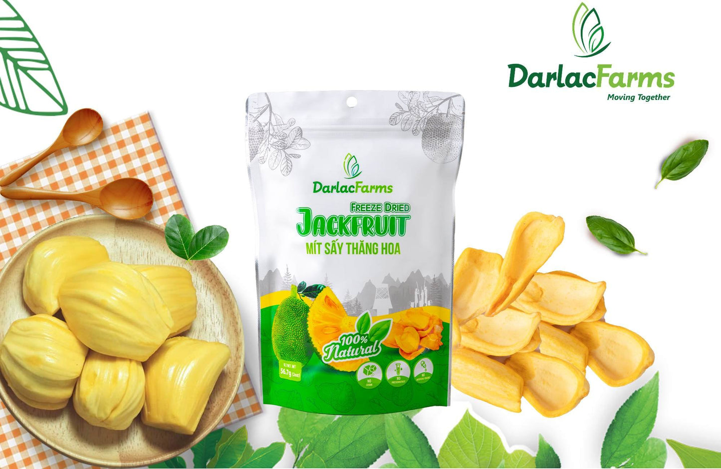 Freeze Dried Jackfruit – Natural, Sugar-Free Snack from Vietnam (56.7g)
