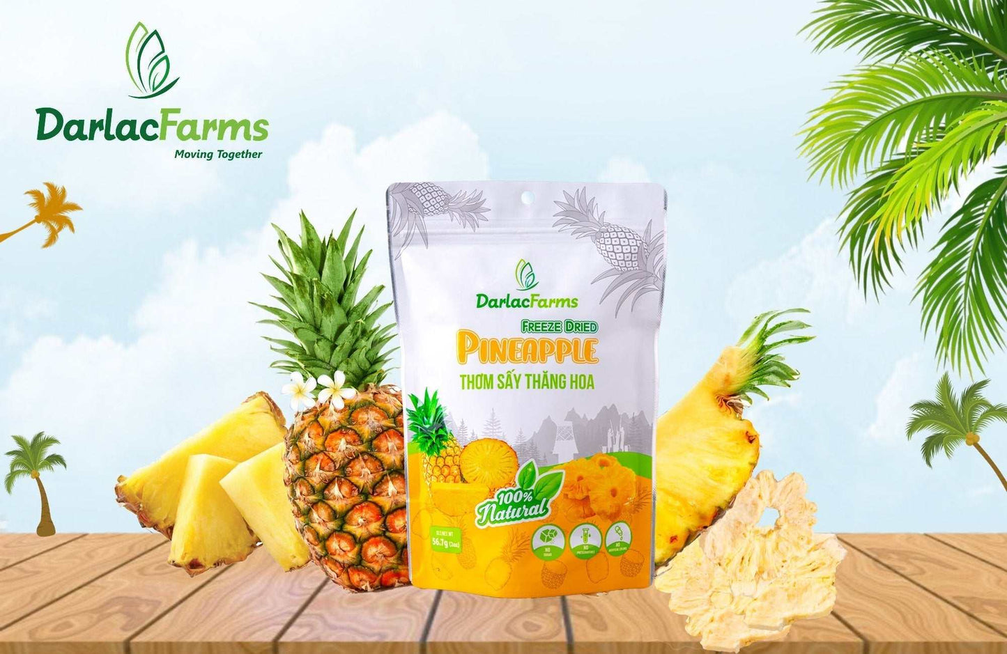 Freeze Dried Dragon FruitFreeze Dried Pineapple